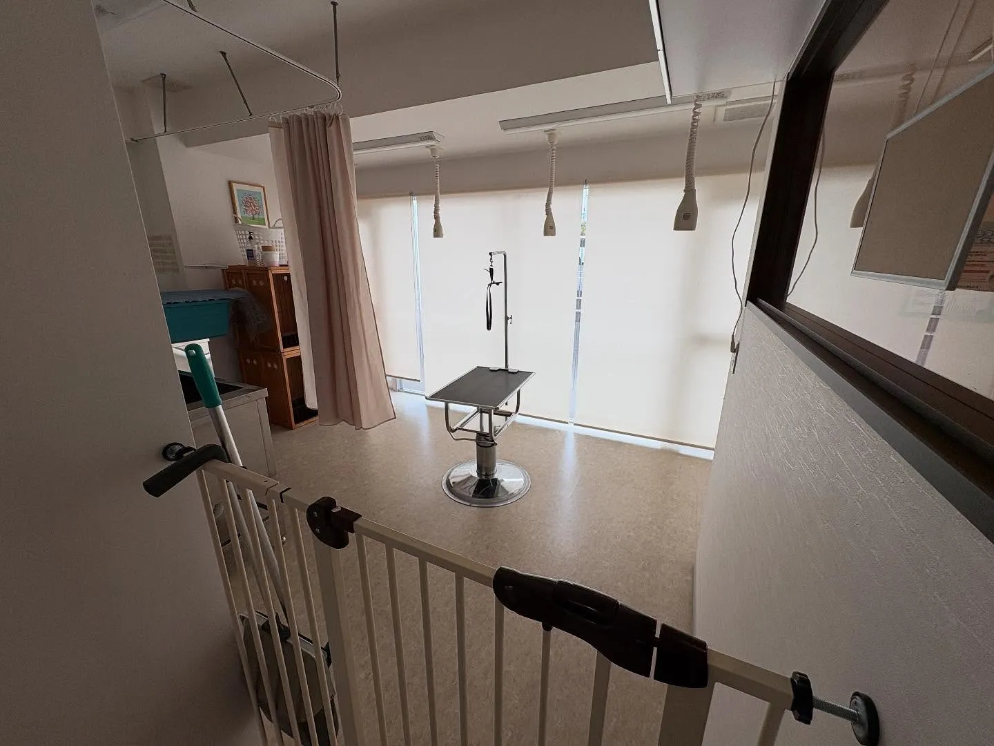 今日は病院のお掃除に行って来ました。