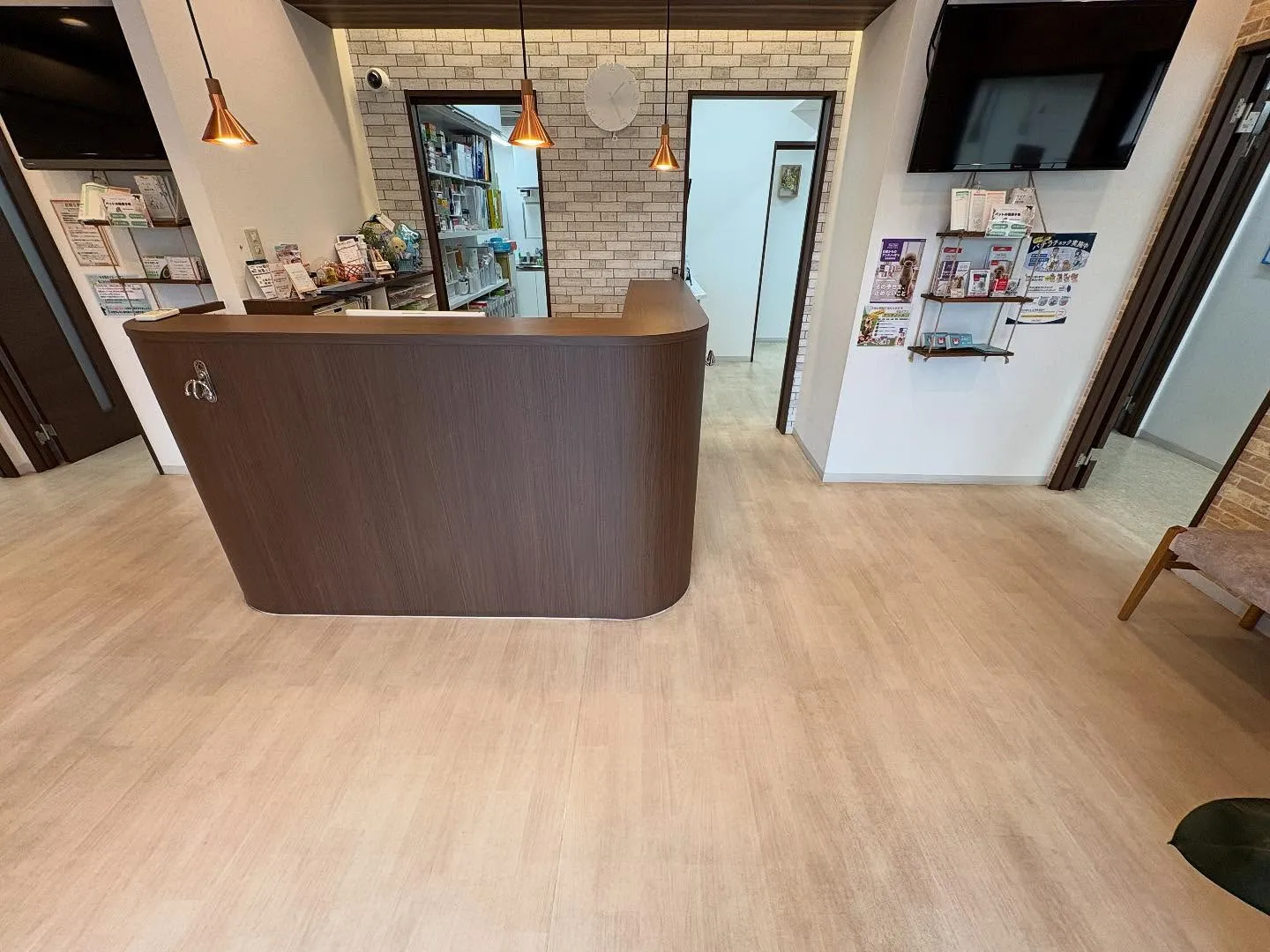 今日は病院のお掃除に行って来ました。