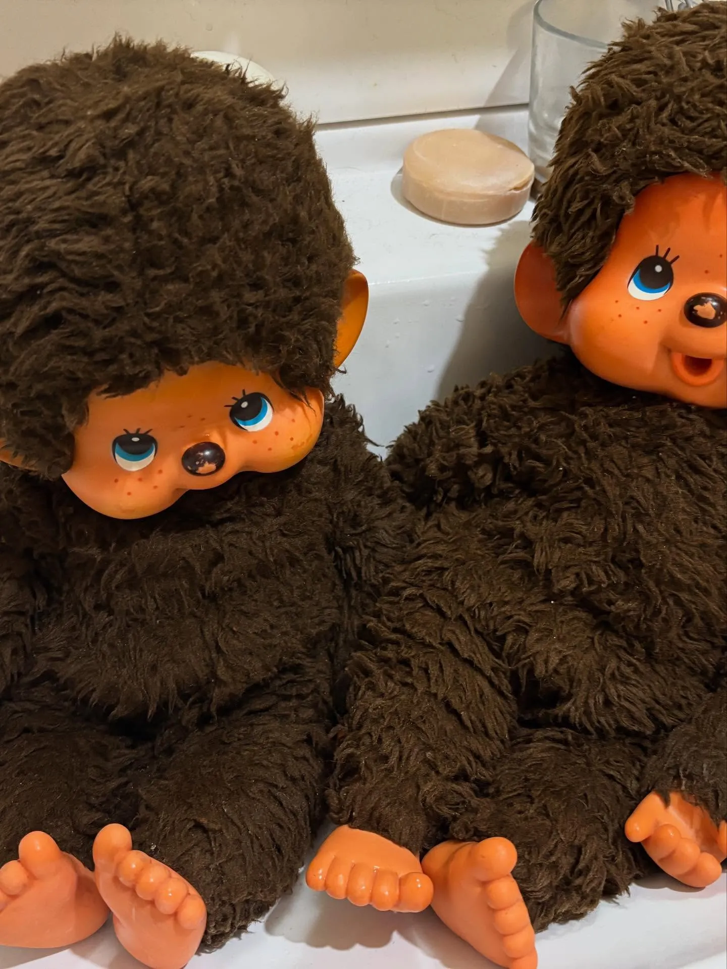 また可愛くなったね、モンチッチ🎵