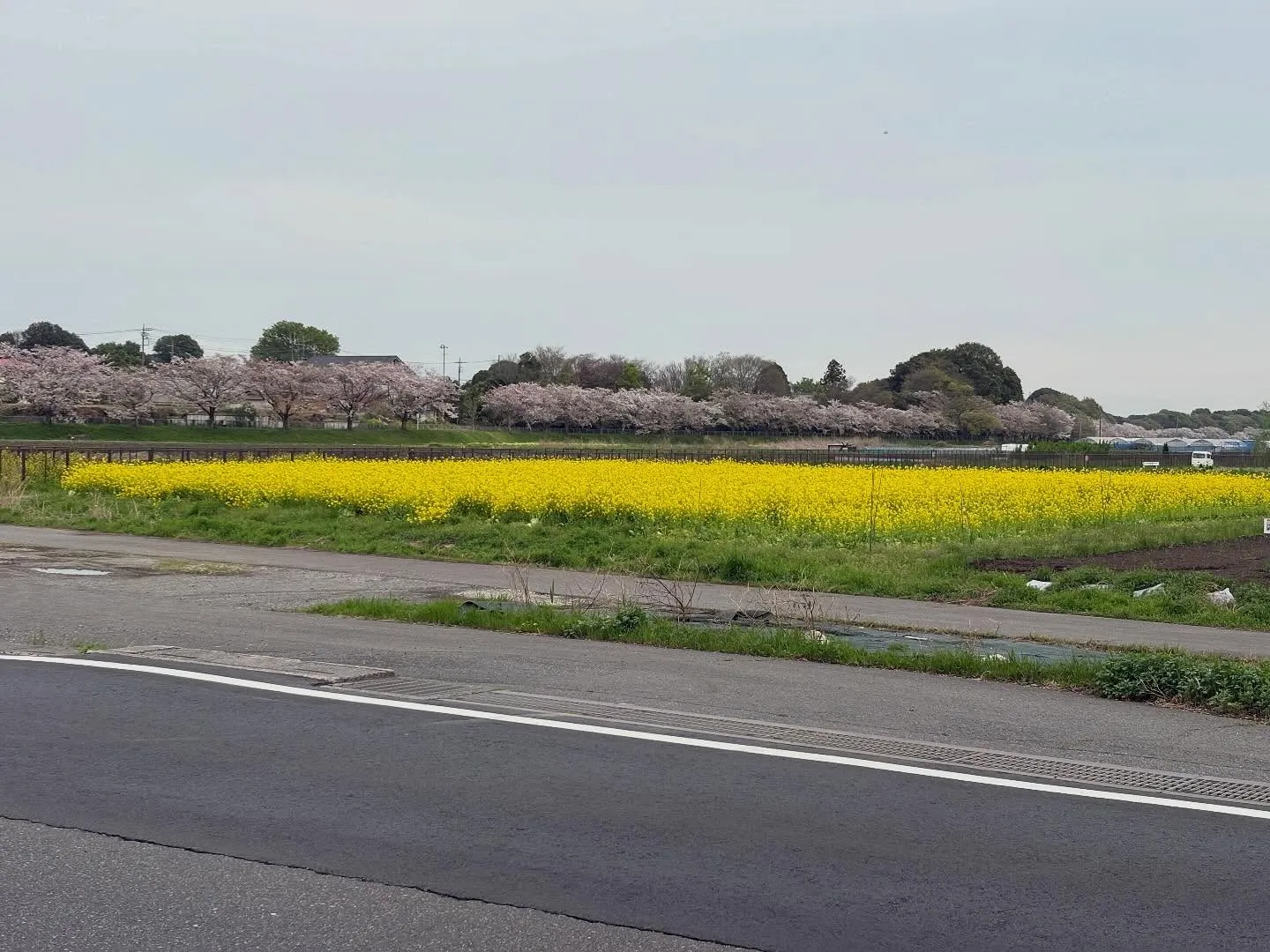 今日はエアコンの作業で、埼玉まで来ております。