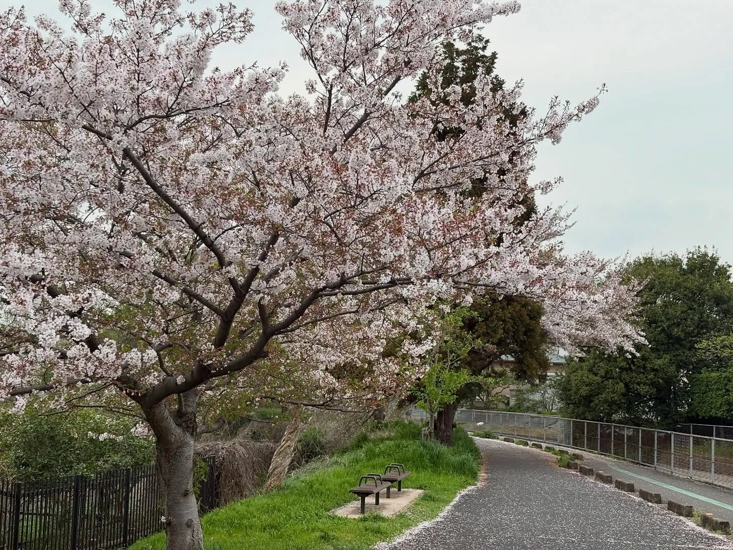 今日はエアコンの作業で、埼玉まで来ております。