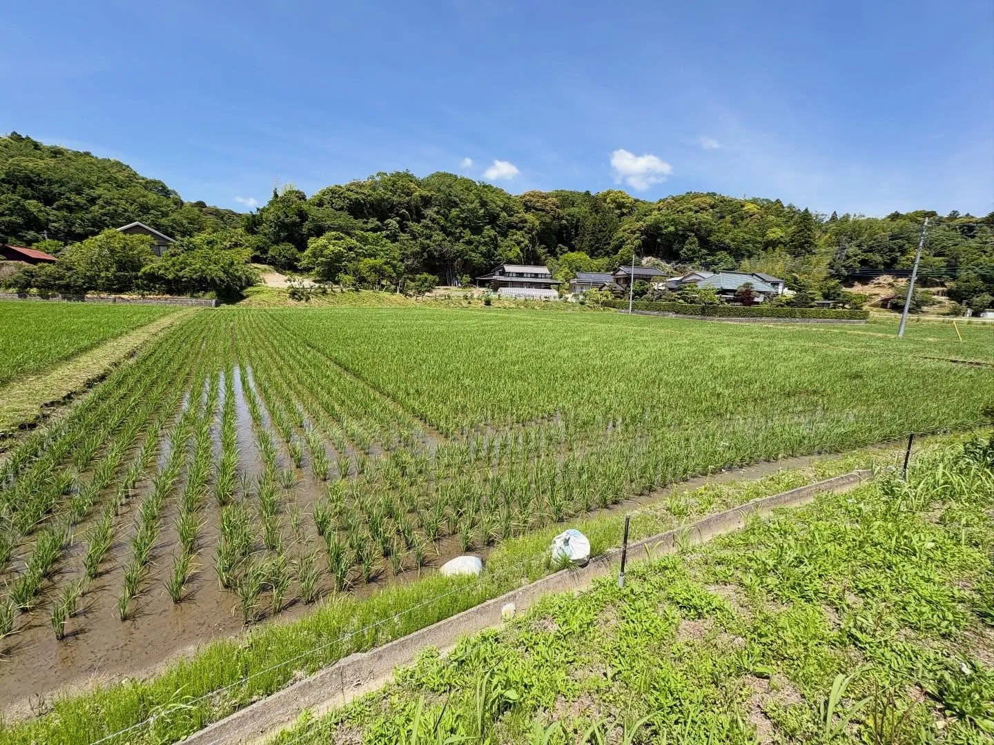今日はお見積で長南町に来ております。