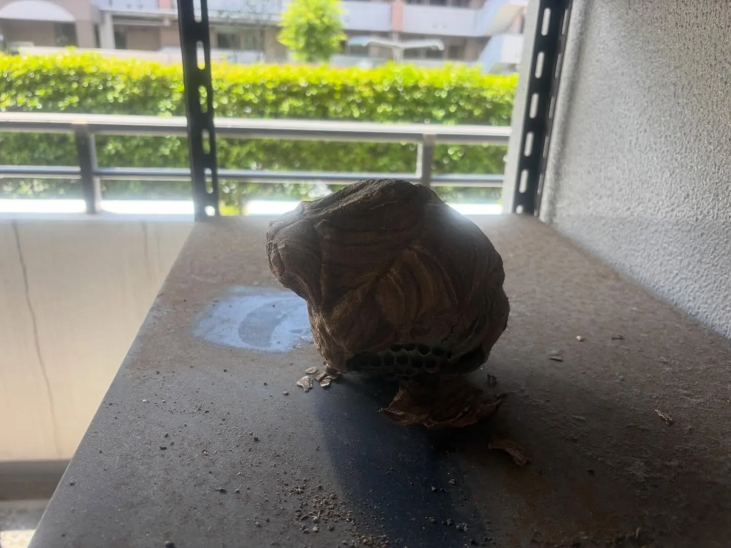 今日は葛飾区で遺品整理の作業でした。