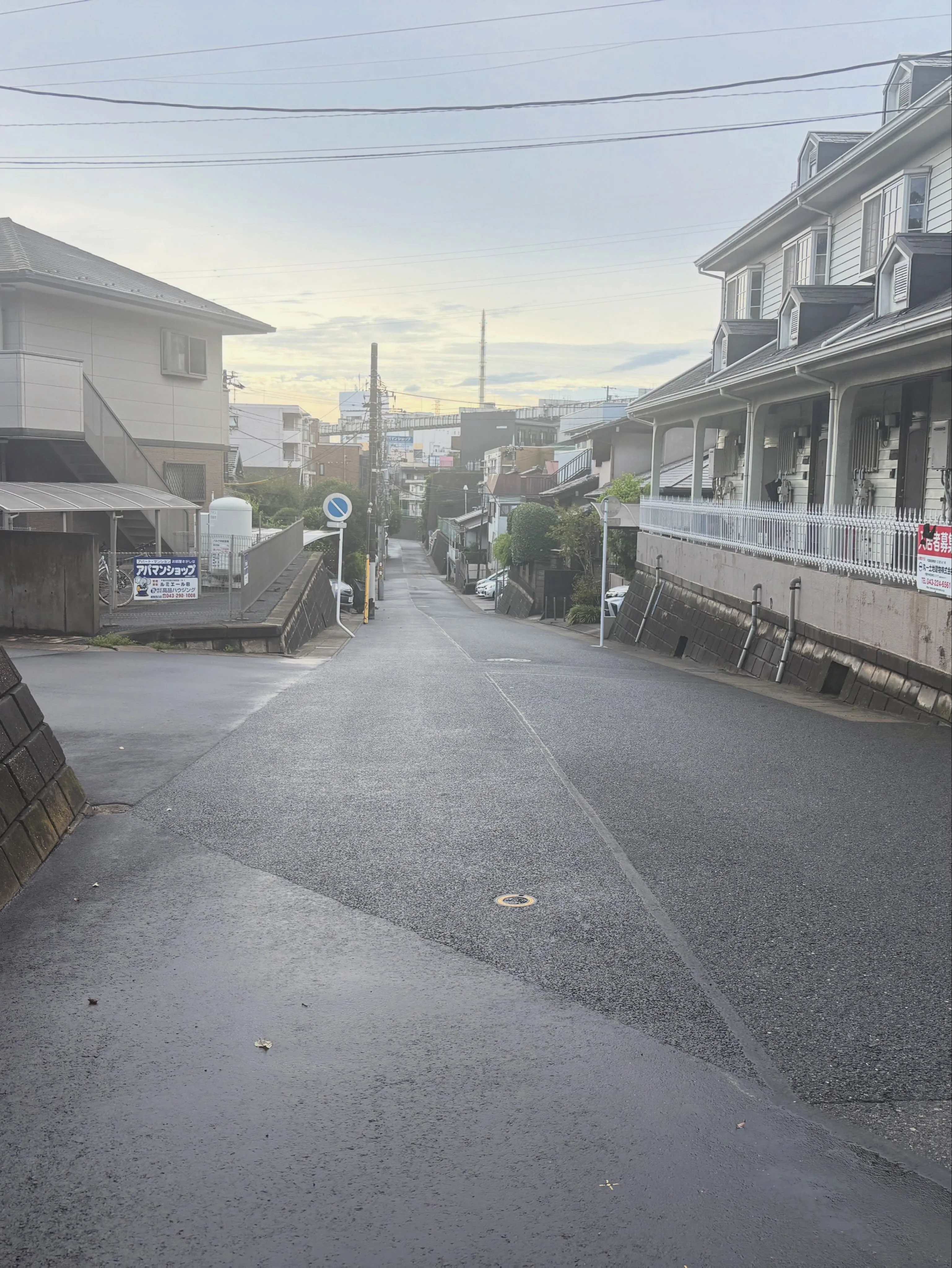 千葉豪雨と名付けられたそうですが、13日の線状降水帯発生して...